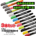 【組み合わせ自由な3本セット】シャチハタ IREGUI MARKER イレグイマーカー 3本セット 色選べる ルアーメイキング