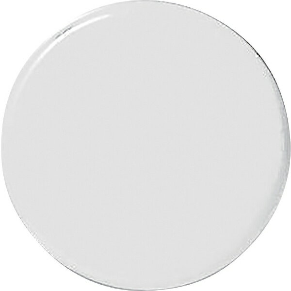 強磁力カラーマグネット（ボタン型） 白 18Φ×9mm 3個組 両面磁力 315011 日本緑十字