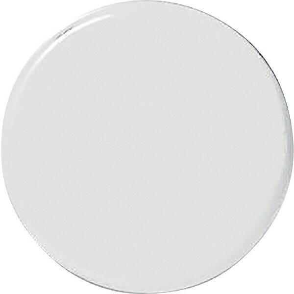 樂天商城 - 強磁力カラーマグネット（ボタン型） 白 30Φ×7mm 2個組 両面磁力 315021　日本緑十字