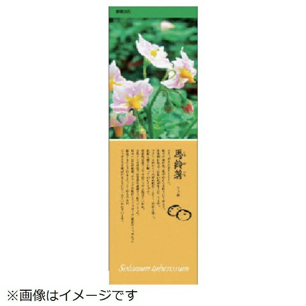 シールギャラリー じゃがいも PVCステッカー 1000×320 916-33 ユニット