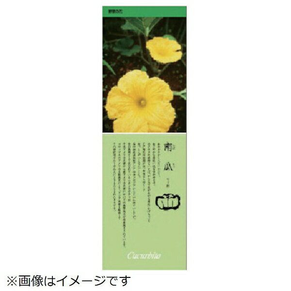 シールギャラリー かぼちゃ PVCステッカー 1000×320 916-34 ユニット