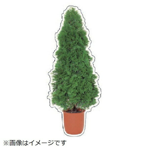 Rakuten - フォトジョイシール ヒバ PVCステッカー 800×330mm 915-56 ユニット