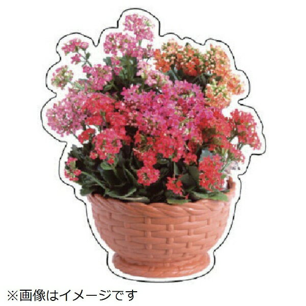 商品画像1
