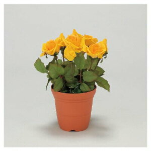 ユニット UNIT 造花鉢（5号鉢） バラ 黄色 935-10
