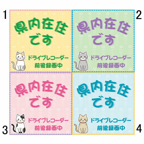 在住マグネット 県内在住です ドライブレコーダー 前後録画中 100×100mm 無反射 車用 猫イラスト