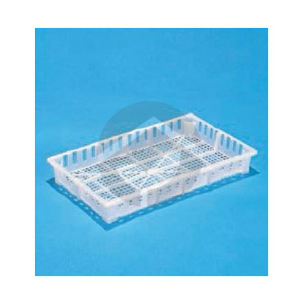 ࡦΥ ŷԾŹ㤨֥󥳡  󥦥вƴ ꥤ-2 ȾƩ 100151פβǤʤ193ߤˤʤޤ