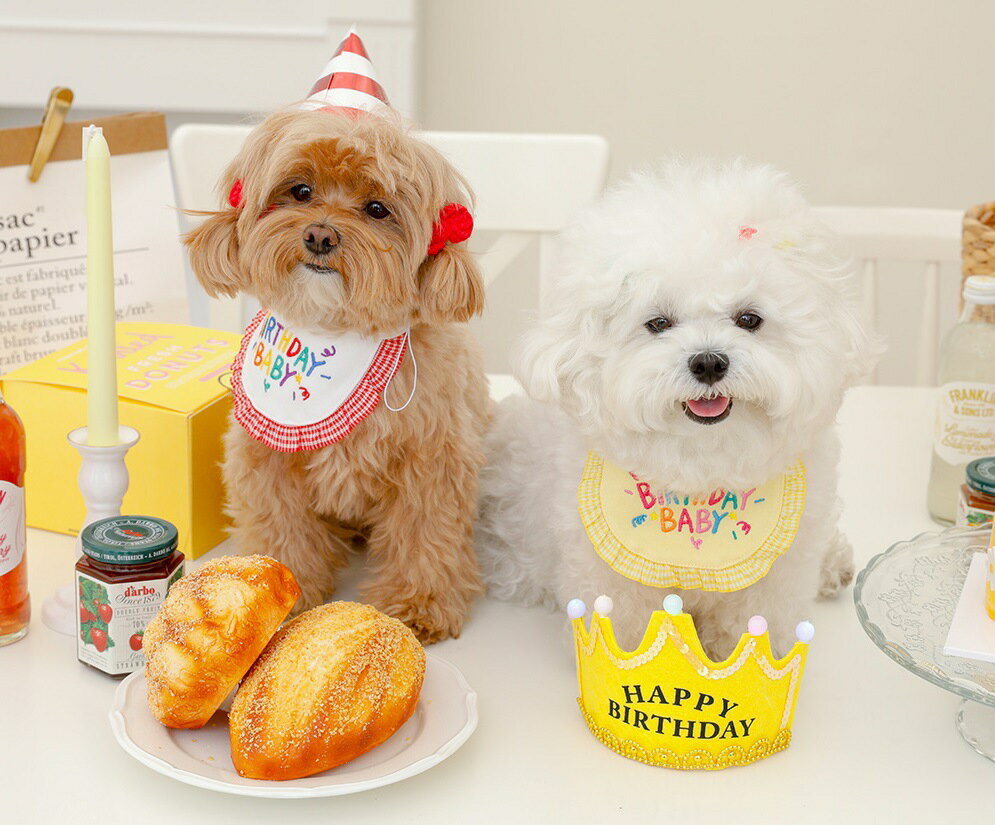 犬用 スタイ スカーフ ペット用バンダナ よだれかけ お誕生日お祝い エプロン スカーフ ペット用品 首飾り ドッグウェア 首 かわいい おしゃれ お出かけ