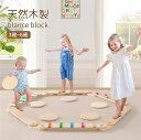 積み木 天然木製 バランスストーン バランスブロック プレイセット 9ピース 6歳以上 筋力 柔軟性 体幹歩行訓練 プレゼント トレーニング 屋内 幼稚園 バランス遊具 バランスード 子供用 平均台 室内遊具 組み立て式