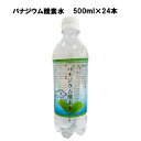 【24日20時～28時間限定★最大ポイント38倍】【即納】バナジウム酸素水 （有酸素生活） 500ml×24本 あす楽対応 送料無料 酸素水 疲労回復 高濃度酸素水 水 ドリンク