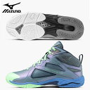 【最大ポイント29倍!1日24時間限定】【サイズ交換片道送料無料】ミズノ ウエーブダイバース LG5 フィットネスシューズ レディス メンズ 25SS ブルー・...