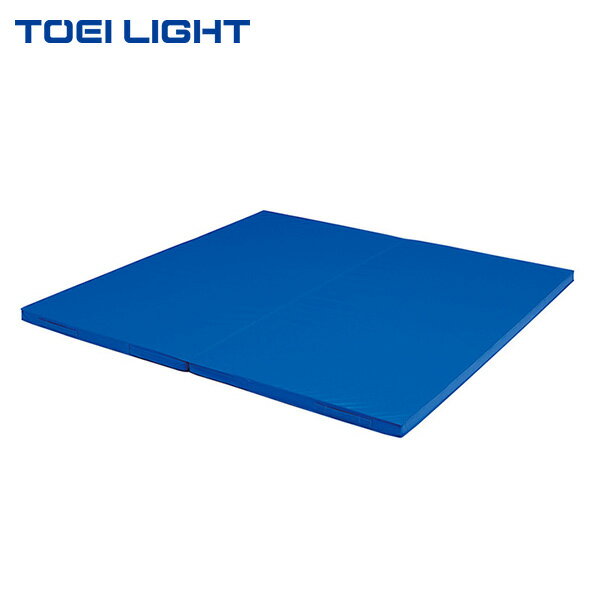【楽天ブラックフライデー★最大2000円OFFクーポン】トーエイライト 二つ折り投込み練習マット2×2 T1831 1枚 投げ込みマット 体育用品 法人限定商品