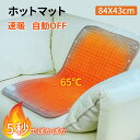 【300円OFFクーポン有り!お買い物マラソン限定】ホットマット 電気カーペット ホットカーペット 84×43cm 電気ホットカーペット ミニ 洗える 充電式 ...
