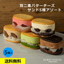 【RUNNYCHEESE】【羽二重5種アソート】ラニーチーズ バターサンド チーズケーキ バターチーズサンド 高級スイーツ お取り寄せ スイーツギフト チーズ スイーツ かわいい 可愛い バタークリーム インスタ映え ギフト セット 詰め合わせ プレゼント 贈り物 送料無料 お歳暮菓子