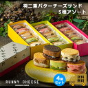 ラニーチーズ あんバター バターサンド 送料無料 チーズサンド インスタ映え スイーツ ピスタチオ おしゃれ 絶品 お取り寄せスイーツ ご褒美スイーツ レーズンバターサンド