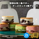 バターサンド 【RUNNYCHEESE】【☆特別な3種アソート2箱セット☆】ラニーチーズ バターサンド 高級スイーツ ギフト セット スイーツギフト チーズ スイーツ インスタ映え お取り寄せスイーツ 詰め合わせ 贈り物 プレゼント 送料無料