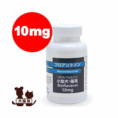 Rakuten - プロアントゾン 10mg 共立製薬 ▼b ペット フード 犬 ドッグ 猫 キャット サプリメント