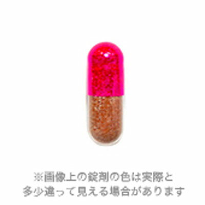 プロアントゾン 10mg 共立製薬 ▼b ペット フード 犬 ドッグ 猫 キャット サプリメント runpet-10000250 RunPet サンプル画像2