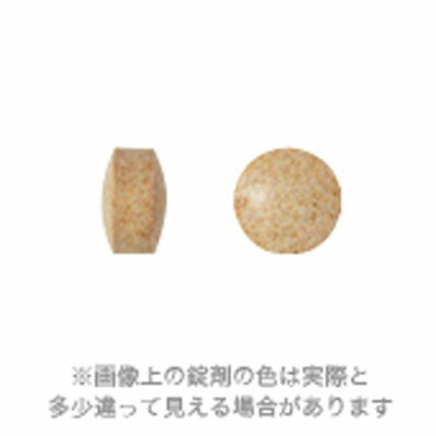 プロヘパフォス M 共立製薬 ▼b ペット フード 犬 ドッグ 猫 キャット サプリメント runpet-10000253 RunPet サンプル画像3