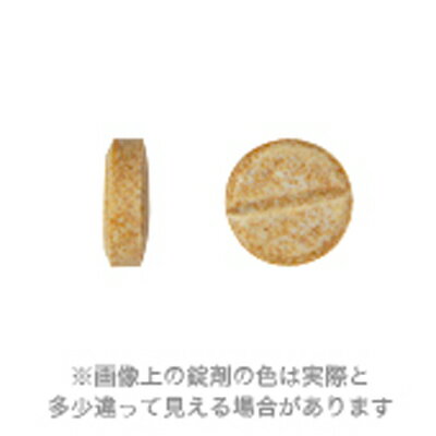 R＆U30 100粒 共立製薬 ▼b ペット フード 犬 ドッグ 猫 キャット サプリメント runpet-10000711 RunPet サンプル画像3