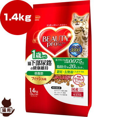 BEAUTY pro r[eB[v LAȞNێ ᎉb 1΂ tBbV Lp ыʑΉ 1.4kg {ybgt[h a ybg t[h L Lbg hC