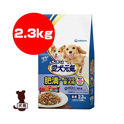 元気に食べる愛犬元気肥満が気になる...