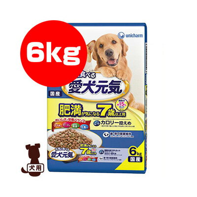 元気に食べる愛犬元気肥満が気になる...
