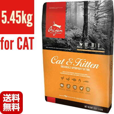 驚きの値段 オリジン キャット キトゥン 5 45kg オリジンジャパン T ペット フード 猫 キャット 送料無料 オープニング大放出セール Www Templebaptistjacksonville Com
