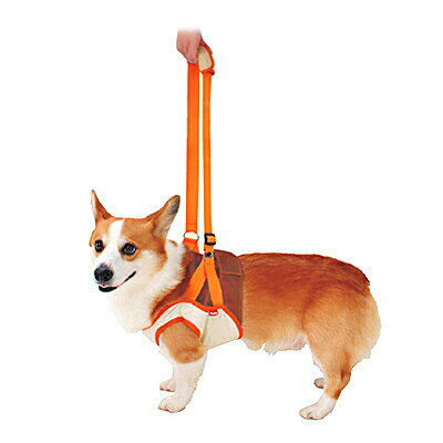 ずっとね 老犬介護用 歩行補助ハーネス 前足用 L ペティオ▼a ペット ドッググッズ ...