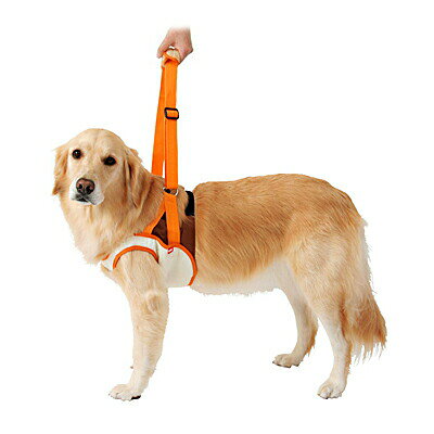 RunPetのずっとね 老犬介護用 歩行補助ハーネス 前足用 3L ペティオ▼a ペット ドッググッズ 介護｜アングル2
