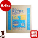 ホリスティックレセピー EC-12乳酸菌 チキン＆ライス 犬用 6.4kg