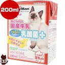 ねこちゃんの国産牛乳 乳酸菌プラス 200mL ドギーマンハヤシ ▼a ペット フード 猫 キャット ミルク