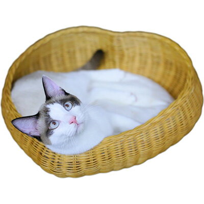 送料無料 同梱可 ハートの中で眠る姿に癒されます ラタン ハートシェイプベッド 猫用品 キャラメル シンシアジャパン ハートシェイプベッド G ペット 猫 グッズ 犬 ドッグ 猫 キャット 送料無料 Runpet