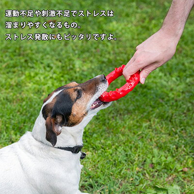 投げる 持ってくる 噛む 引っぱり合い おやつをget 等 楽しく遊べてストレス 運動不足解消に スマイル 与え Xs レッド ファープラスト 運動不足解消 ストレス ペット 犬 デンタルトイ おもちゃ ドッグ グッズ Ferplast イタリア W