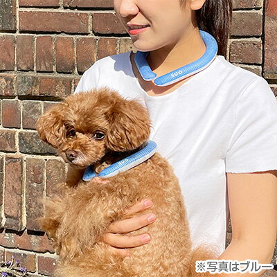 SUO28deg;アイスクールリングMホワイト▽bペットグッズ犬ドッグ冷却吸熱放熱体温調節熱中症夏バテクールダウンひんやりゆうパケット送料無料ポスト投函同梱不可代引不可