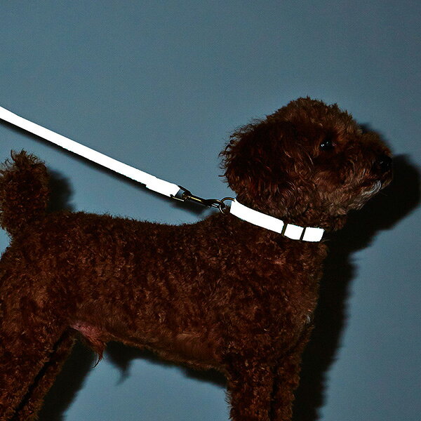犬用首輪 フラッシュソフトカラー S ブルー ペティオ ▼a ペット グッズ 犬 ドッグ ...