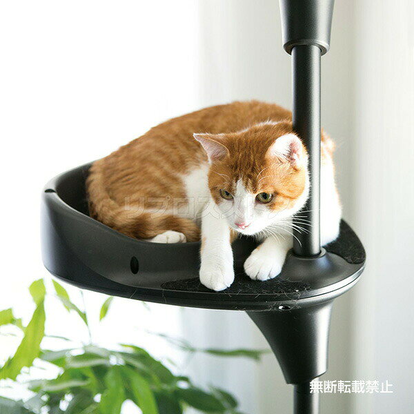 RunPetのオッポ バケットシェルフ ブラック テラモト ▼g ペット グッズ 猫 キャット キャットタワー OPPO BucketShelf 送料無料｜アングル3