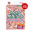 わんわん サラシート ワイド お徳用 100枚入 第一衛材 ▼a ペット グッズ 犬 ドッグ ニオイ 安心 清潔 日本製 P.one