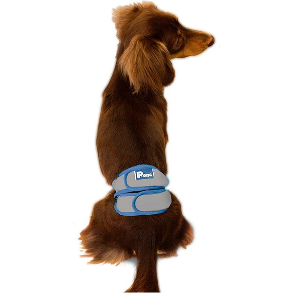 RunPetの男の子のためのマナーホルダー Active SS 第一衛材 ▼a ペット グッズ 犬 ドッグ お出掛け マーキング おもらし 介護 日本製 P.one｜アングル2