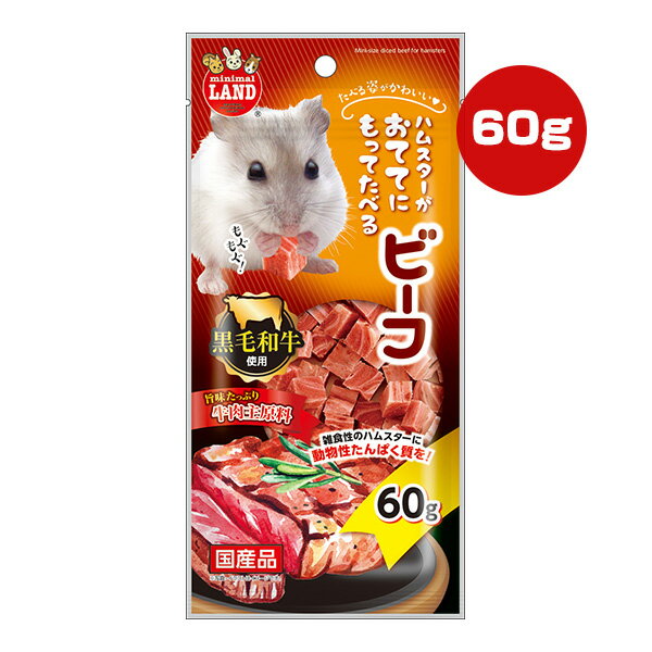 ハムスターがおててにもってたべるビーフ 60g マルカン ▼a ペット フード 小動物 リス モモンガ フェレット おやつ 黒毛和牛 動物性たんぱく質 国産 ミニマルランド