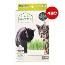 おうちで育てる 猫の生野菜 4回分 キャティーマン ▼a ペット グッズ 猫 キャット 猫草栽培キット 食物繊維 毛玉排出 薬剤無処理種子使用 専用プランター＆スプーン付き 日本製 CattyMan