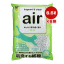 air L鎆 藎 X 6.5L~6 X[p[Lbg a ybg ObY L Lbg L gC  ł܂ R  Fς