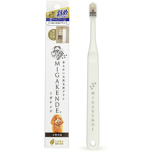 柔らかい天然毛歯ブラシ ミガケンデ 小型犬用 ヤギ＆ウマ斜めカット植毛 多葉刷子工業所 ▼a ペット グッズ 犬 ドッグ デンタルケア 国産 MIGAKENDE TABA BRUSH 3