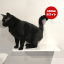 キャットロードプラス ワイドステップ ホワイト 450mm アニマコレ ▼c ペット グッズ 猫 キャット 取付簡単 ウォーク タワー ツリー DIY 人気 オ...