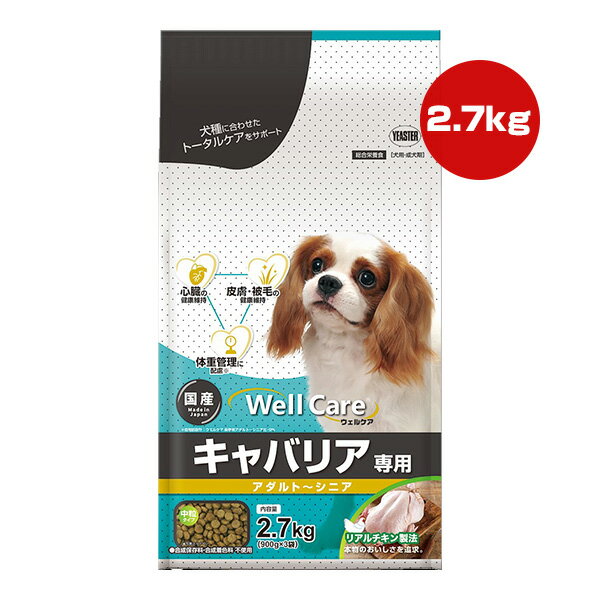 樂天商城 - ウェルケア キャバリア専用 アダルト〜シニア 2.7kg[900g×3袋] イースター ▼a ペット フード 犬 ドッグ 中粒 成犬期 総合栄養食 国産 WellCare YEASTER