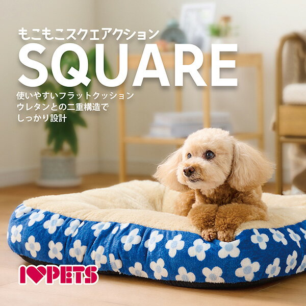 �⤳�⤳�����������å���� M �ե��֥饦�� �ܥ�ӥ��륳�� ��g �ڥå� ���å� �� �ɥå� ǭ ����å� �ե�å� ���٤�ߤ� ����