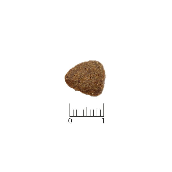 ベッツソリューション 犬用 心臓サポート 800g ジャパンペットコミュニケーションズ ▼a ペット フード 犬 ドッグ 食事療法食 VetSolution