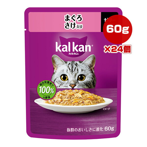 륫 ѥ ޤ  60g24 ޡ a ڥå ա ǭ å å ȥ ѥ ܿ ka...