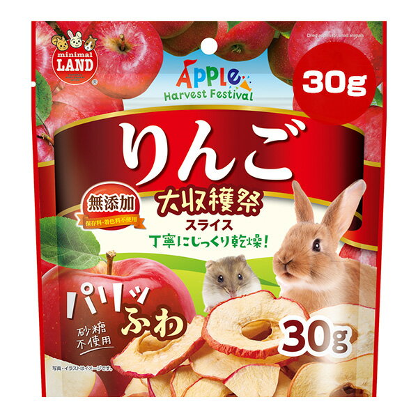 Other - りんご大収穫祭 スライス 30g マルカン ▼a ペット フード 小動物 おやつ 無添加 ミニマルランド ML-514