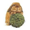 わらっこ倶楽部 リンリンボール KAWAI ▼a ペット グッズ 小動物 うさぎ アジアンビタチモシー(4)