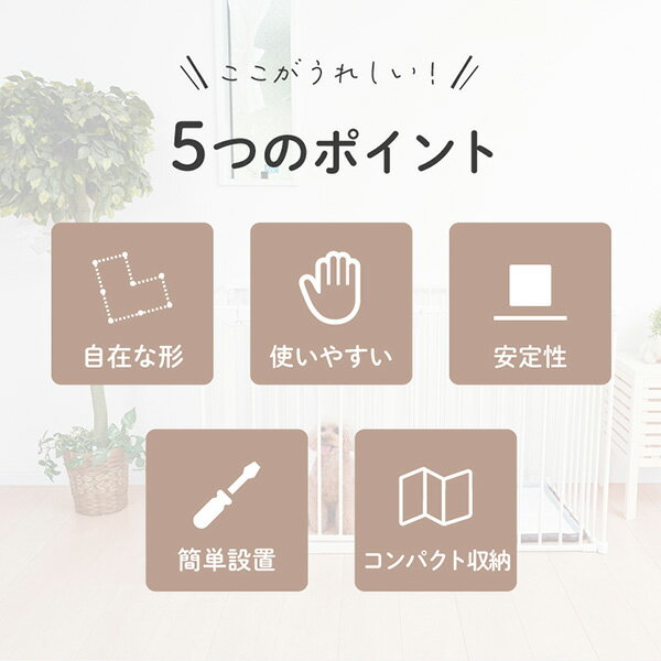 ��������ڥåȥ������� 6���� �� ���󥻡����󥿡��ʥ���ʥ� ��a �ڥå� ���å� �� �ɥå� Wanyanya ����̵��